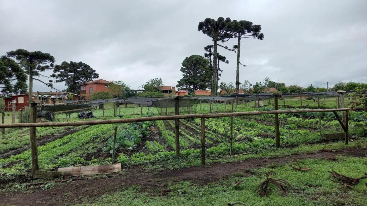 Cabanas Do Casarão Pousada Rural e camping Cambará Exterior foto